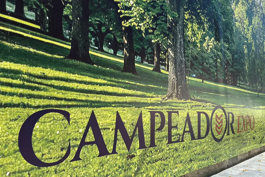 Campeador EXPO Hotel București – Rețelistică, Securitate și Sisteme Integrate