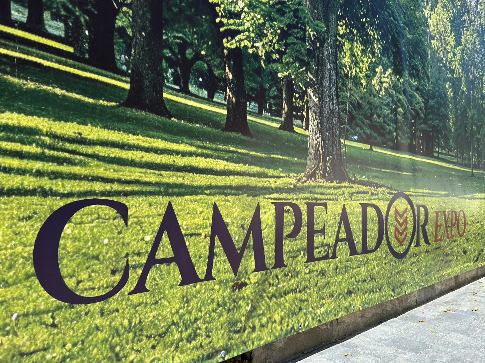 Campeador EXPO Hotel București – Rețelistică, Securitate și Sisteme Integrate